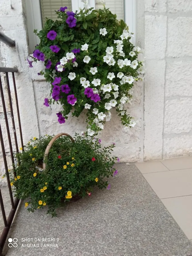 Apartments Sime Trogir